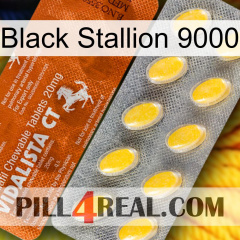 Black Stallion 9000 42